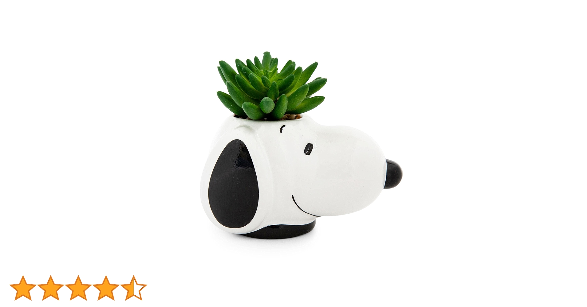 61pErWvUnbL.jpg_BO30,255,255,